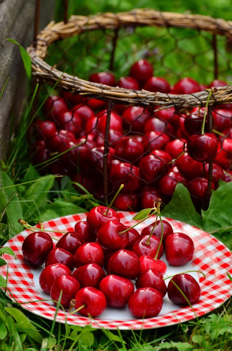 Summer Harvests